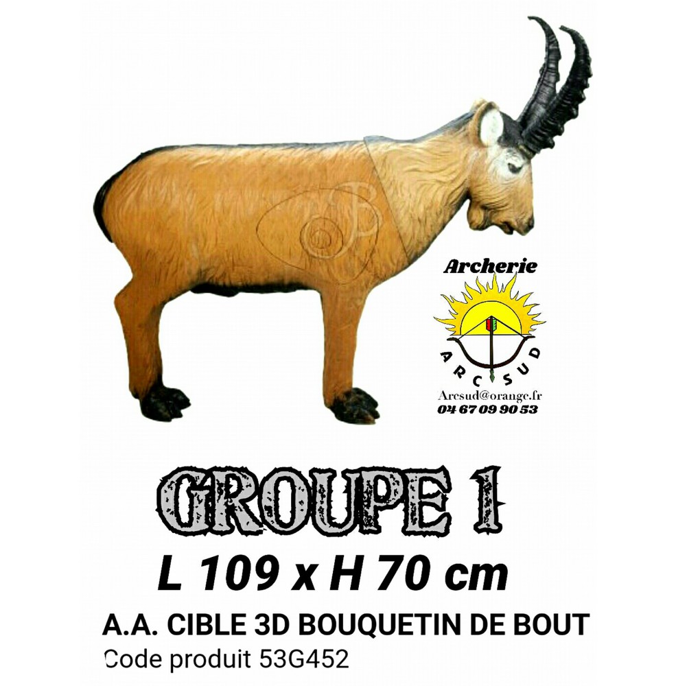 AA cible 3d Bouquetin debout 53G452