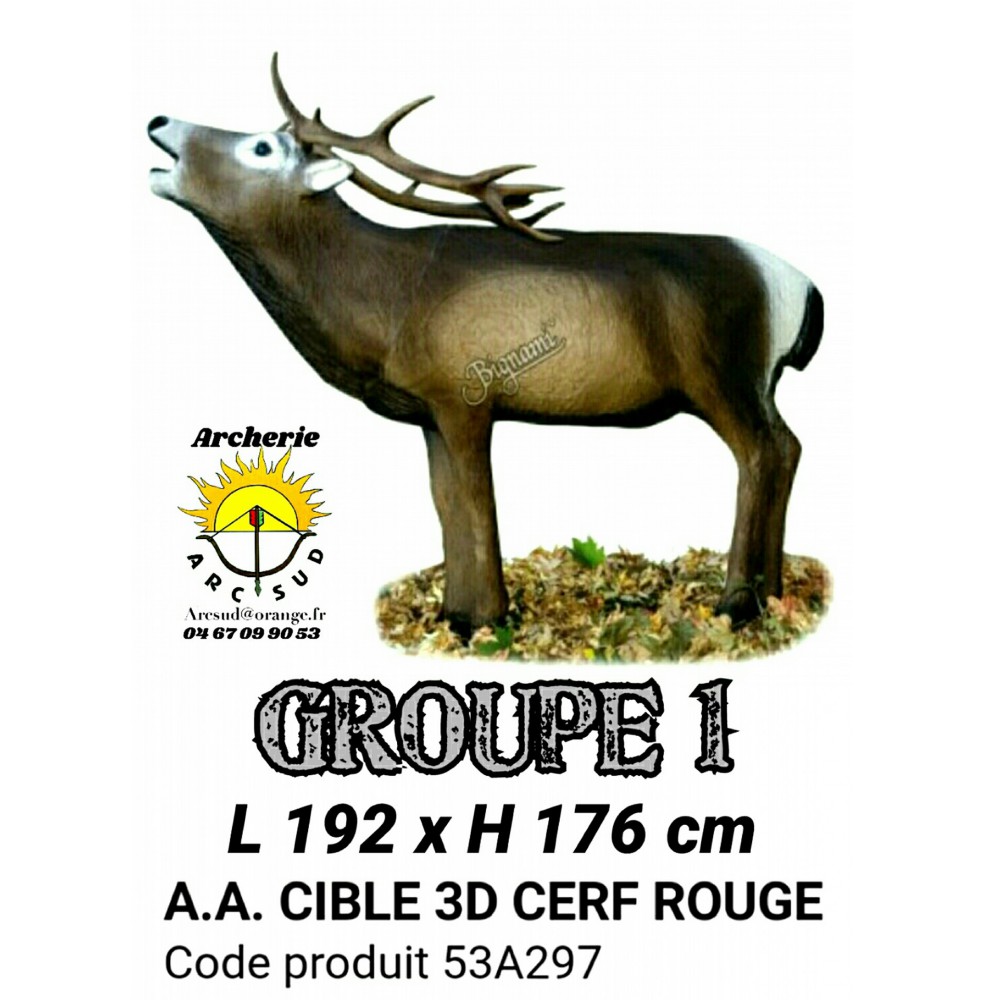 AA cible 3d Cerf Rouge 53A297