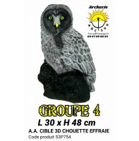 AA cible 3d Chouette effraie 53P754