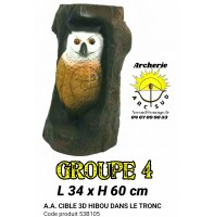 AA cible 3d Hibou dans un tronc 53B105