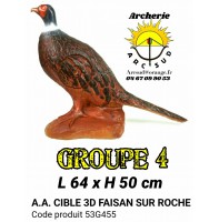 AA cible 3d Faisan sur roche 53G455