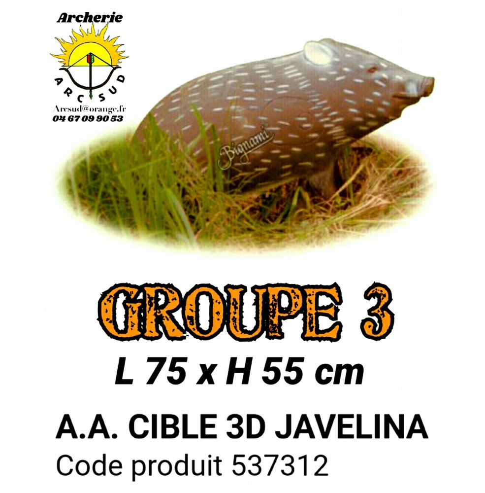 AA cible 3d javeline 537312