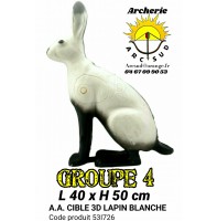 AA cible 3d Lapin Blanc 53I726