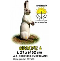 AA cible 3d lièvre blanc 537603