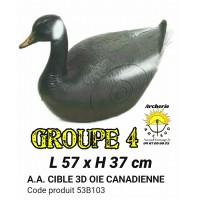 AA cible 3d oie canadienne 53B103
