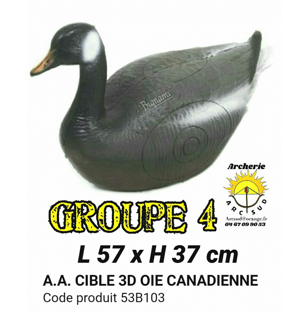 AA cible 3d oie canadienne 53B103