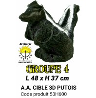 AA cible 3d putois 53H600