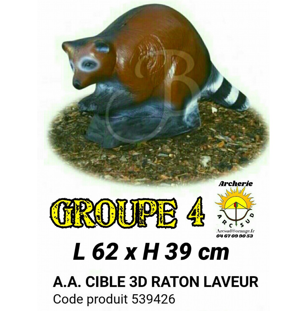 AA cible 3d Raton laveur 539426