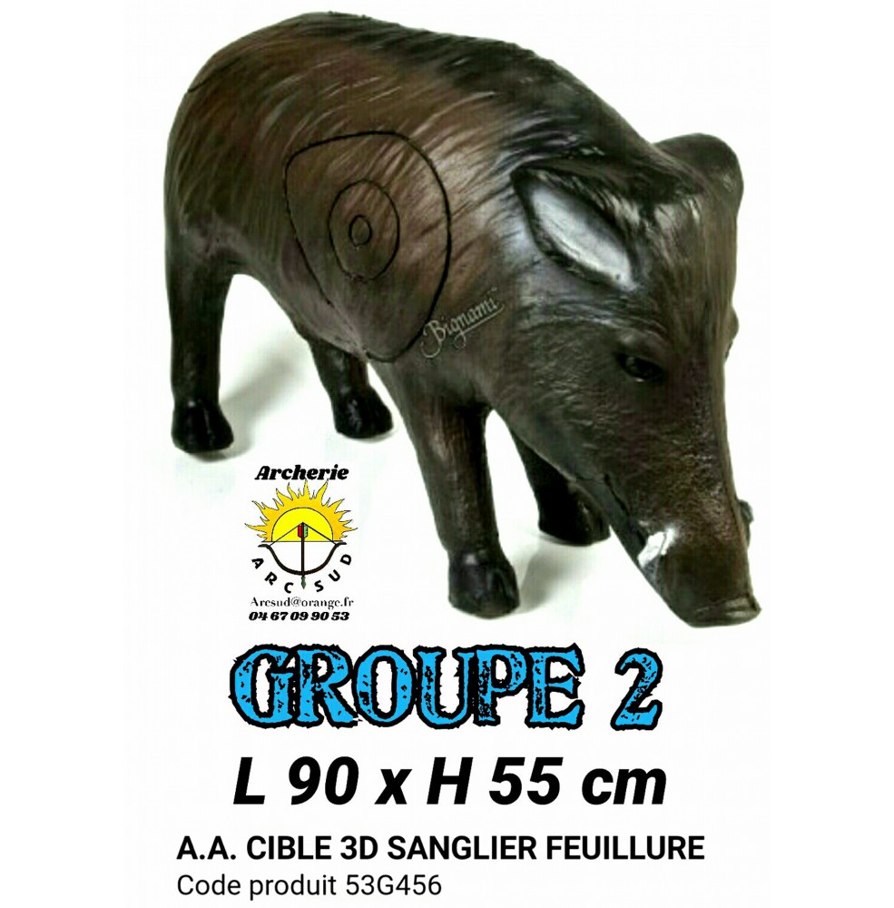 AA cible 3d Sanglier feuillure 53G456