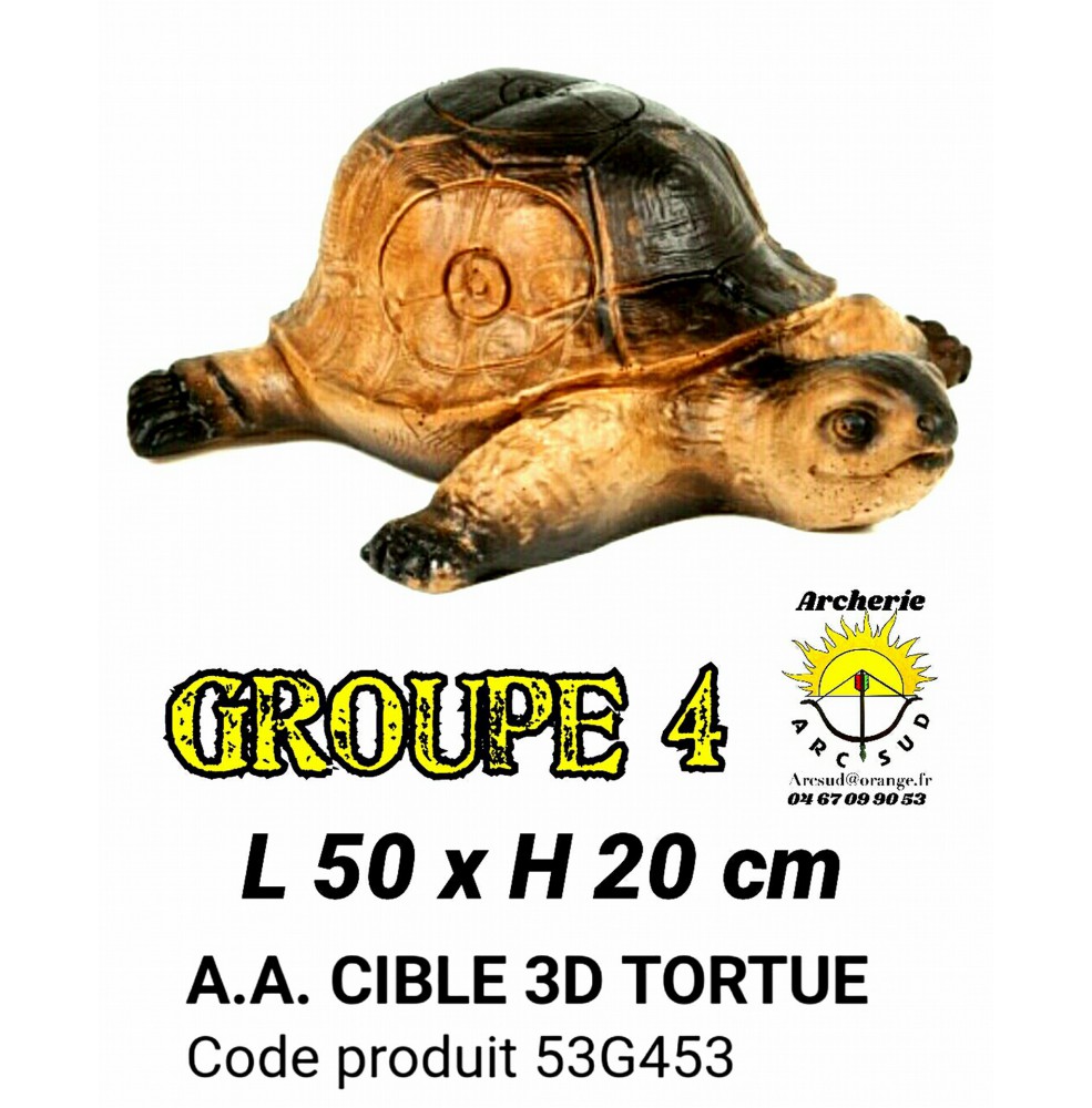 AA cible 3d Tortue 53G453