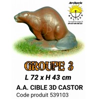 AA cible 3d Castor 539103