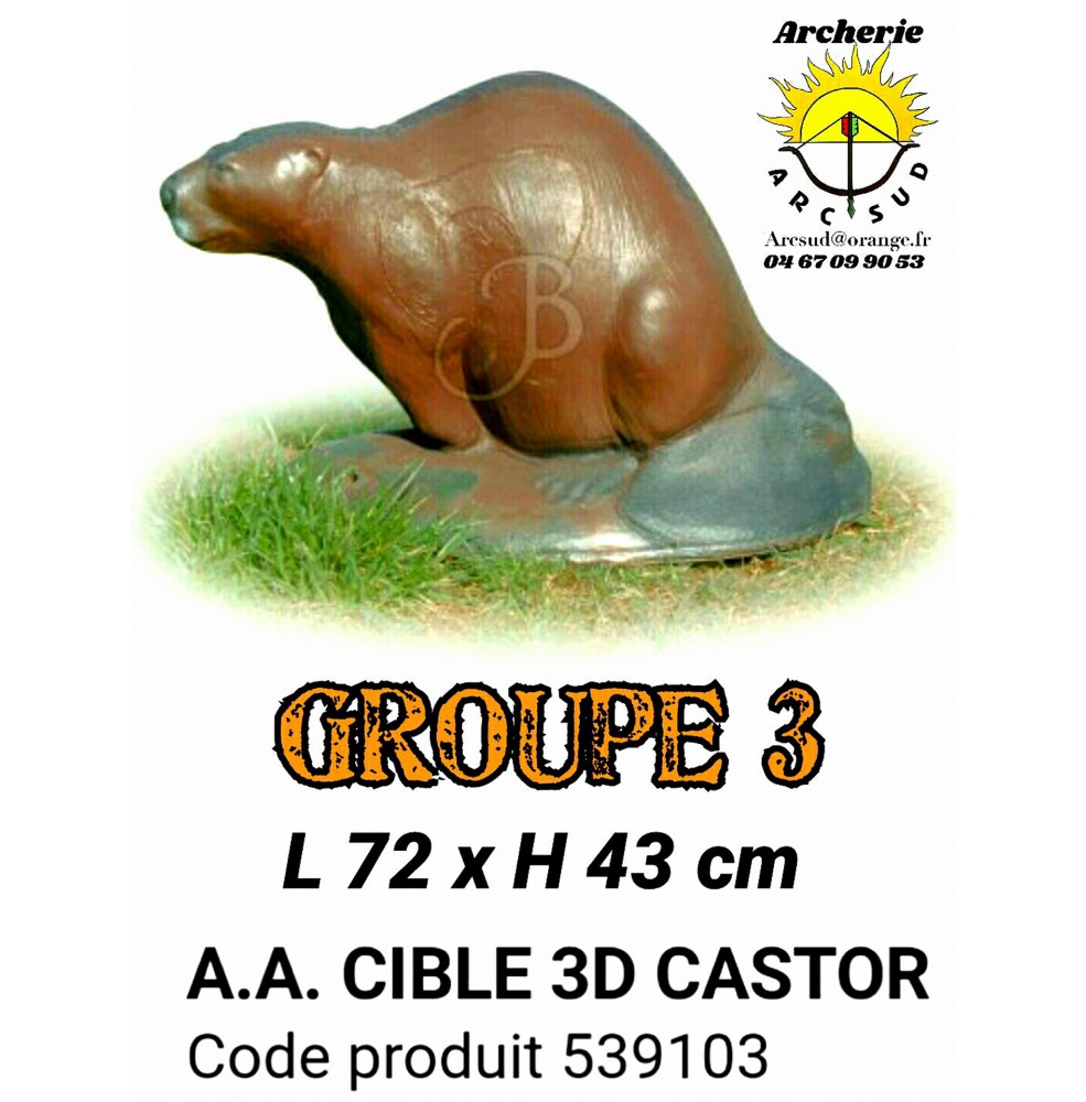 AA cible 3d Castor 539103