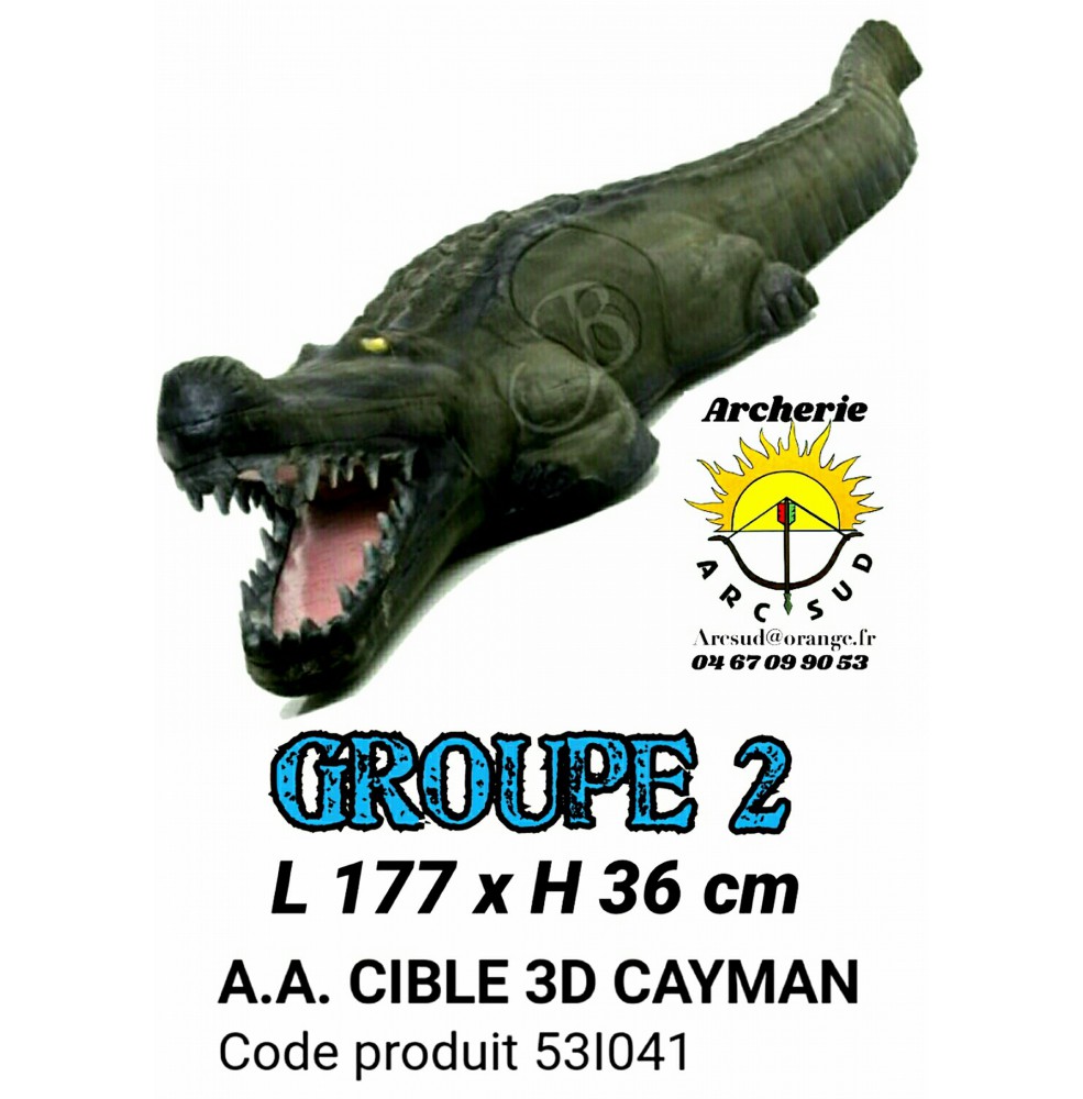 AA cible 3d Cayman 53I041