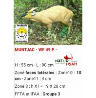 Natur foam bête 3D muntjac wf49p