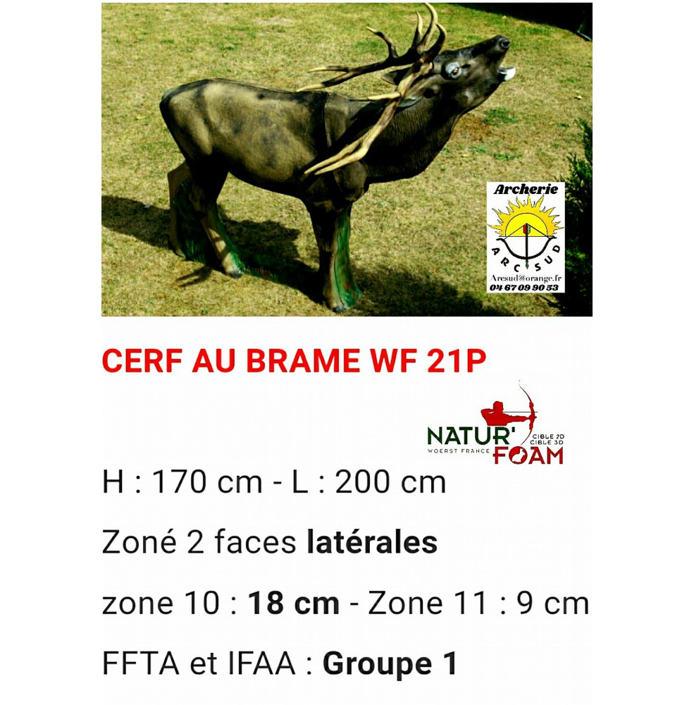 Natur foam bête 3D cerf au brame wf21f