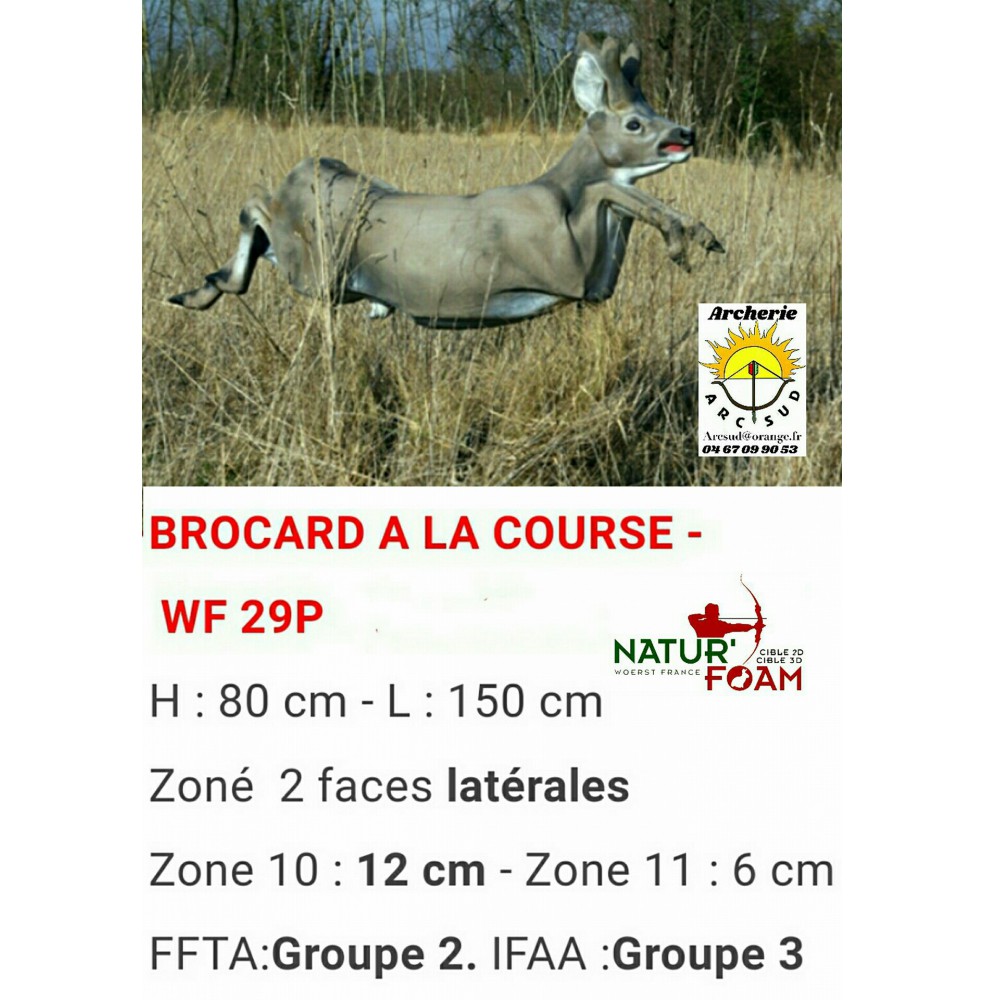 Natur foam bête 3D brocard à la course wf29p