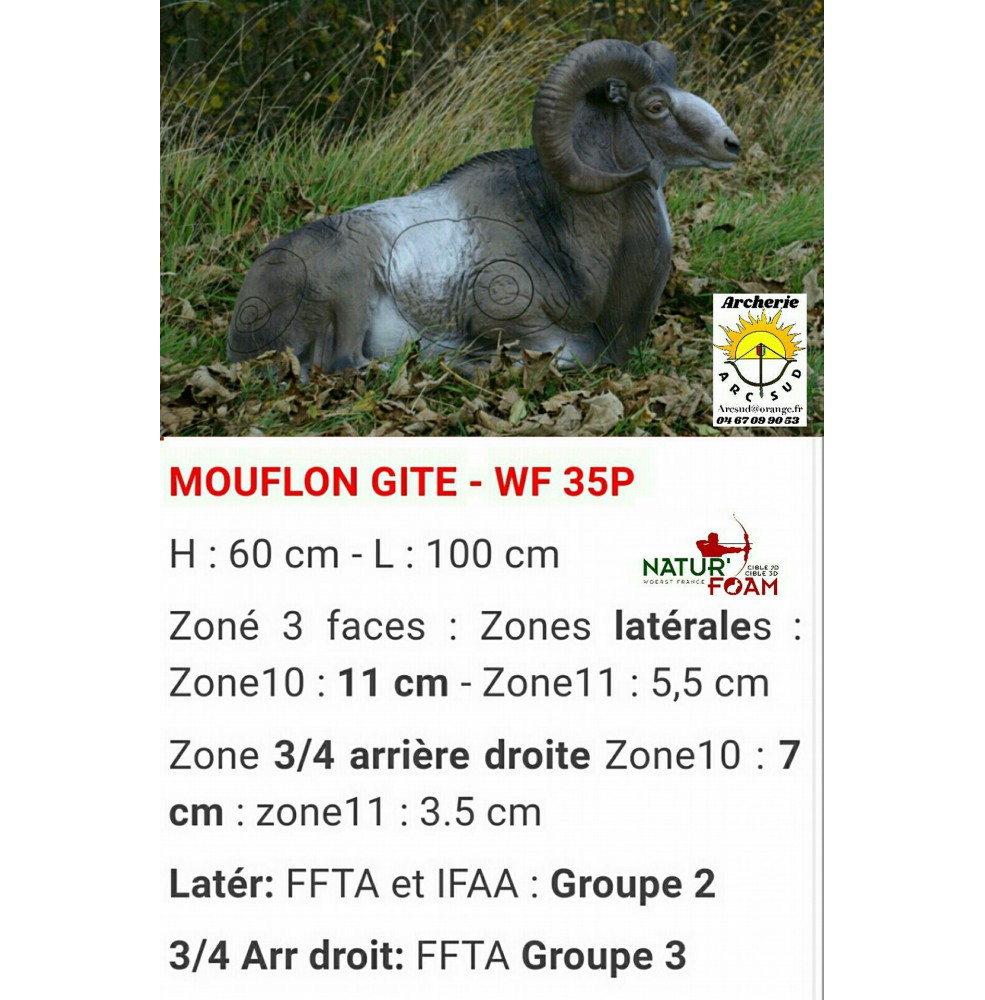 Natur foam bête 3D mouflon gîte wf35p