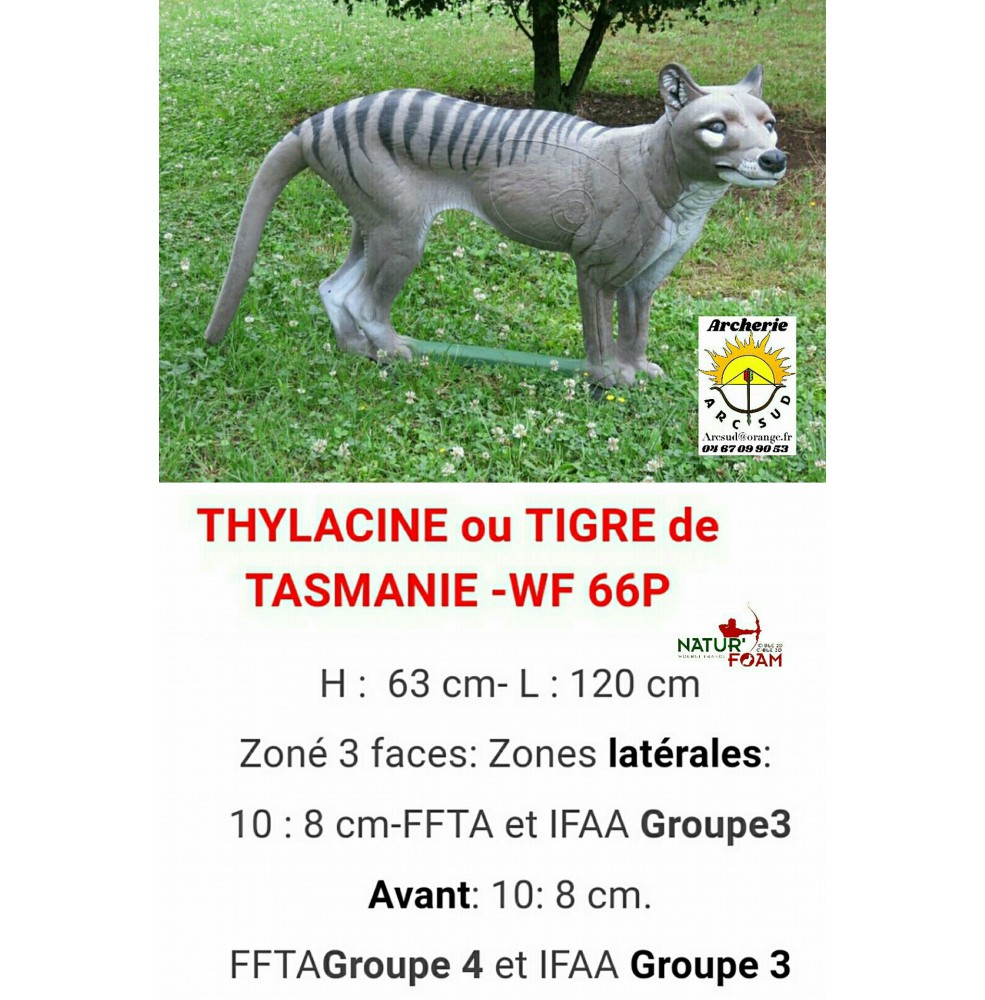 Natur foam bête 3D thylacine wf66p