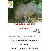 Natur foam bête 3D capibara wf79f