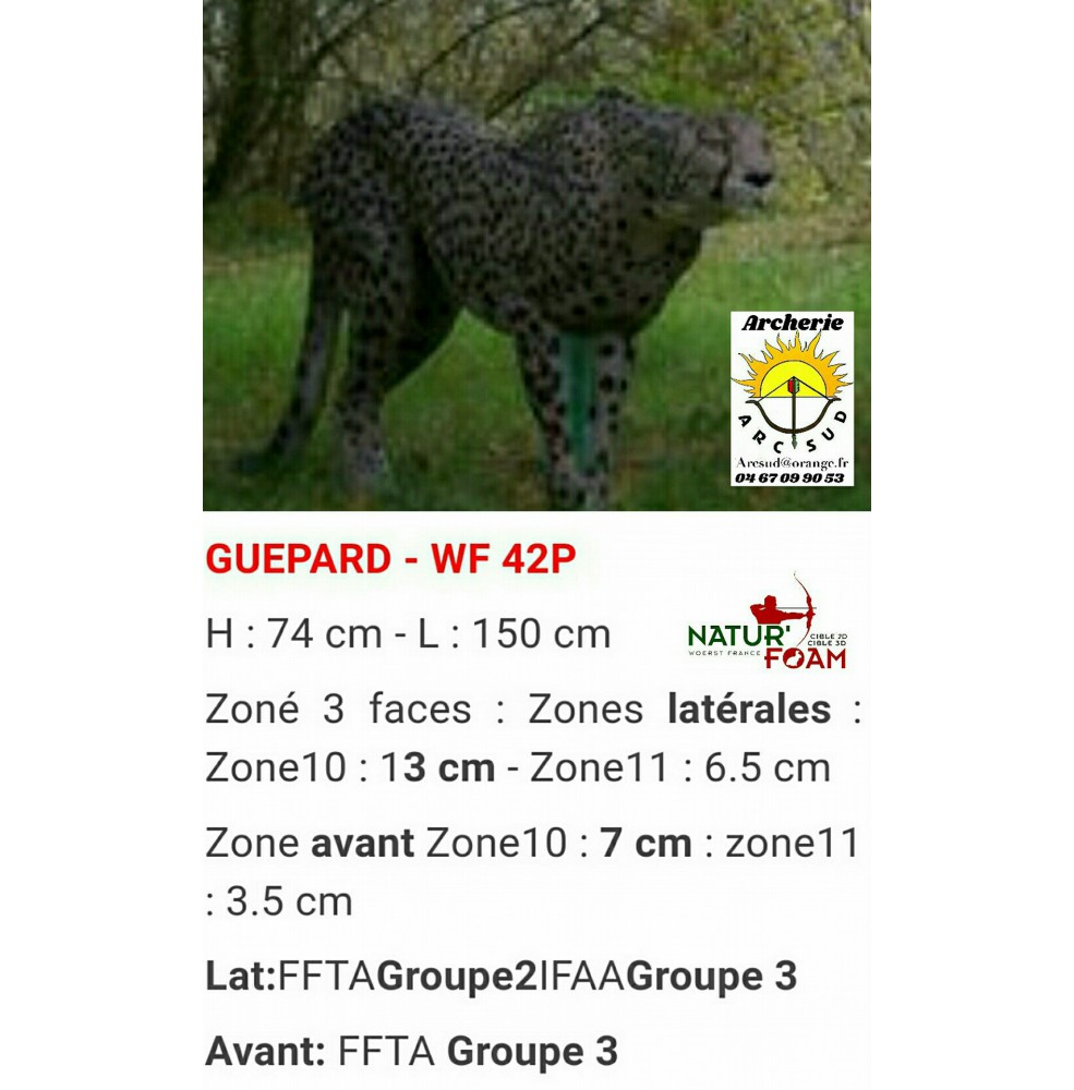 Natur foam bête 3D guépard  wf42p