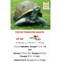 Natur foam bête 3D tortue terrestre géant wf54p