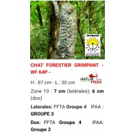 Natur foam bête 3D chat forestier grimpant wf64p