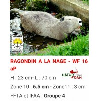 Natur foam bête 3D ragondin à la nage wf16ap