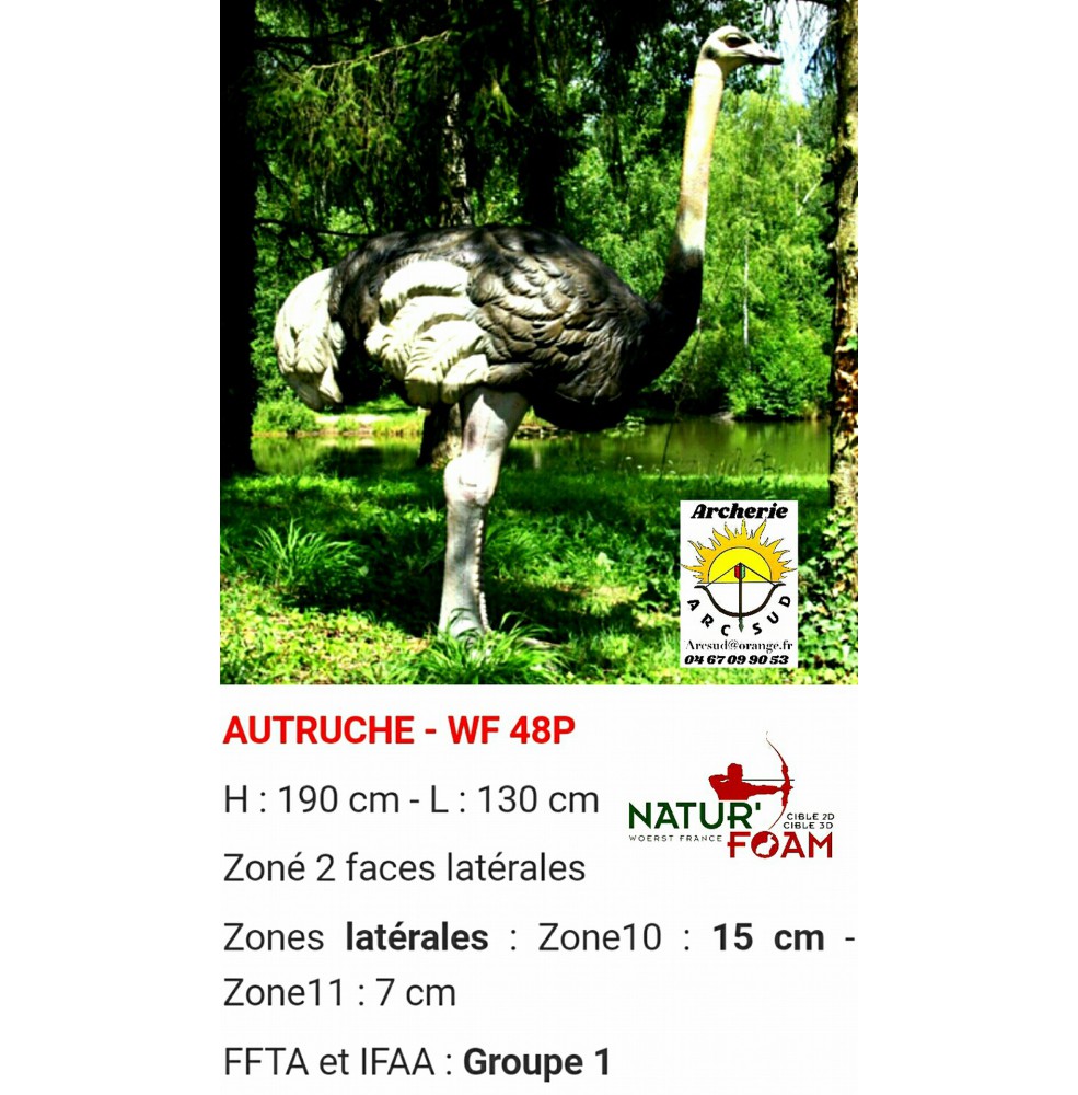 Natur foam bête 3D autruche wf48p