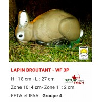 Natur foam bête 3D lapin broutant wf3p