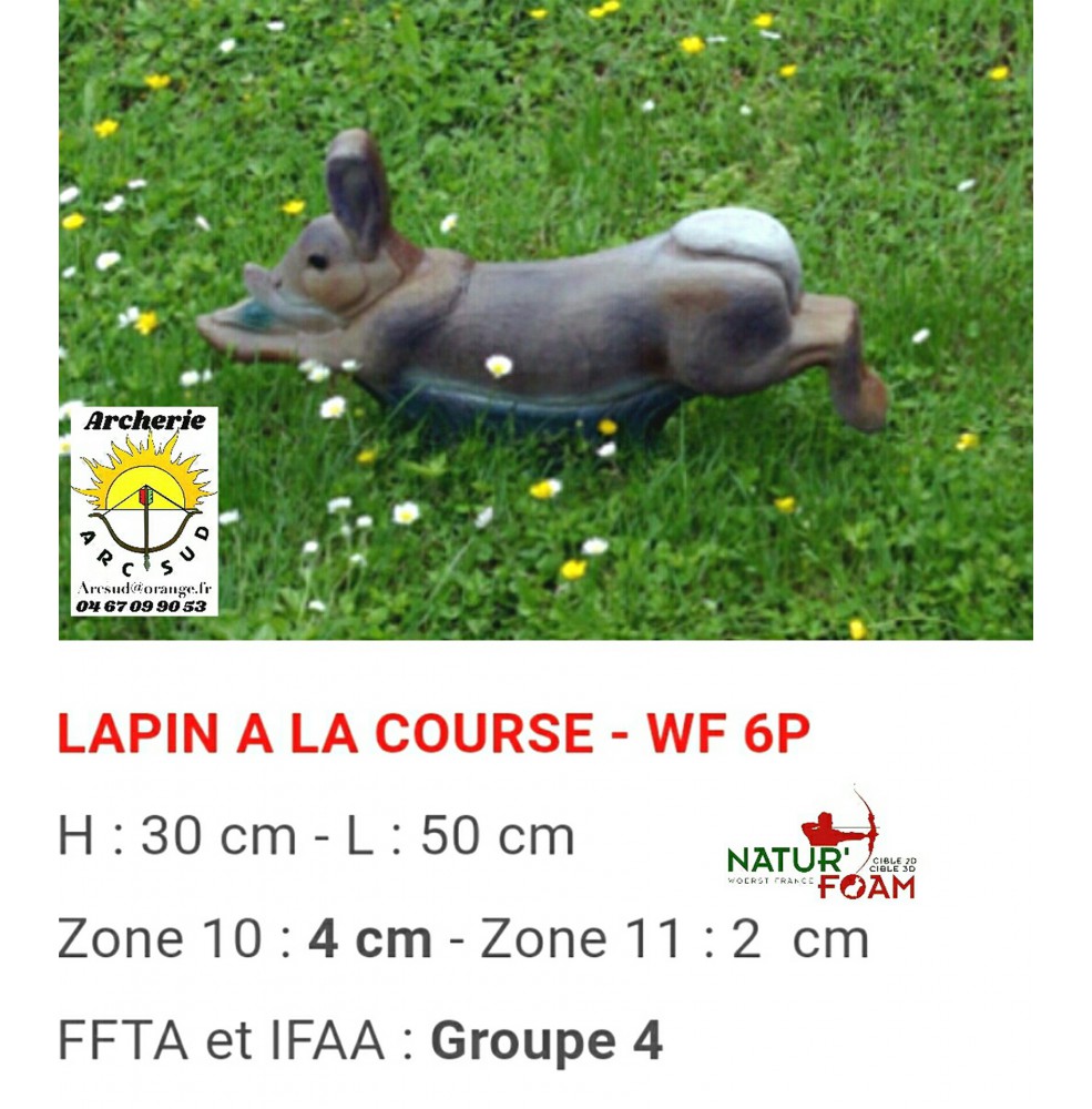 Natur foam bête 3D lapin à la course wf6p