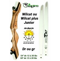 Ragim arc initiation wilcat junior