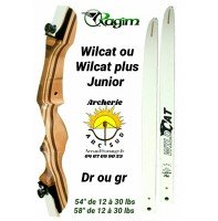Ragim arc initiation wilcat junior