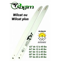 Ragim branches wildcat