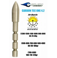 Avalon pointe ogive carbon tec one 4.2 (par 12)