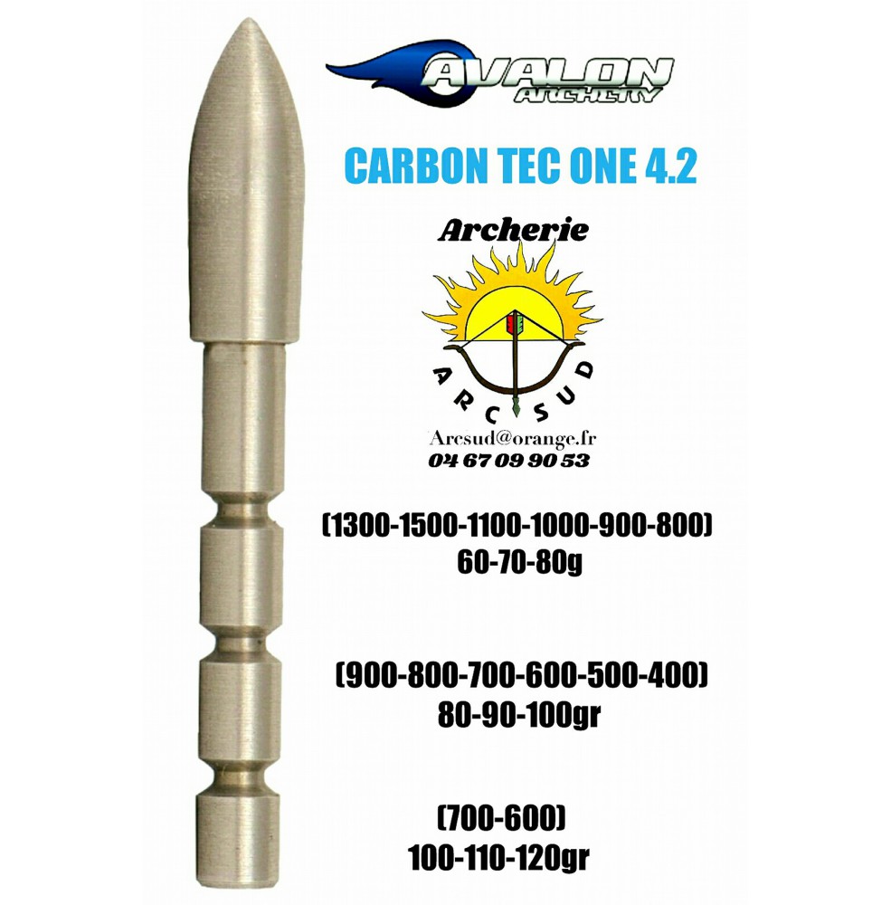 Avalon pointe ogive carbon tec one 4.2 (par 12)