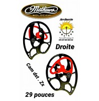 mathew poulie dxt cam zx 29 pouces droitier