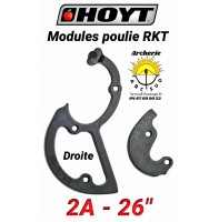 Hoyt modules rkt 2A droite