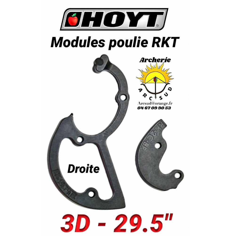 Hoyt modules rkt 3D droite