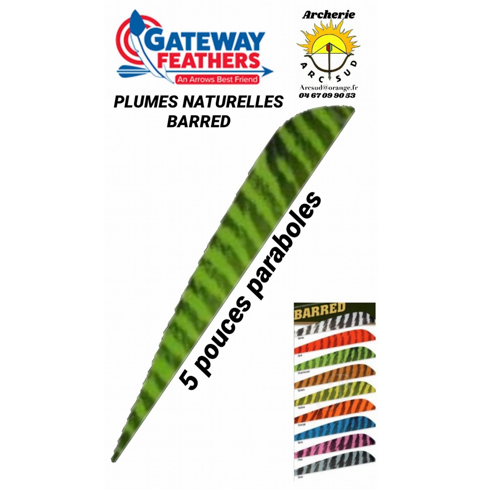 gateway plumes naturelles paraboles barred 5 pouces