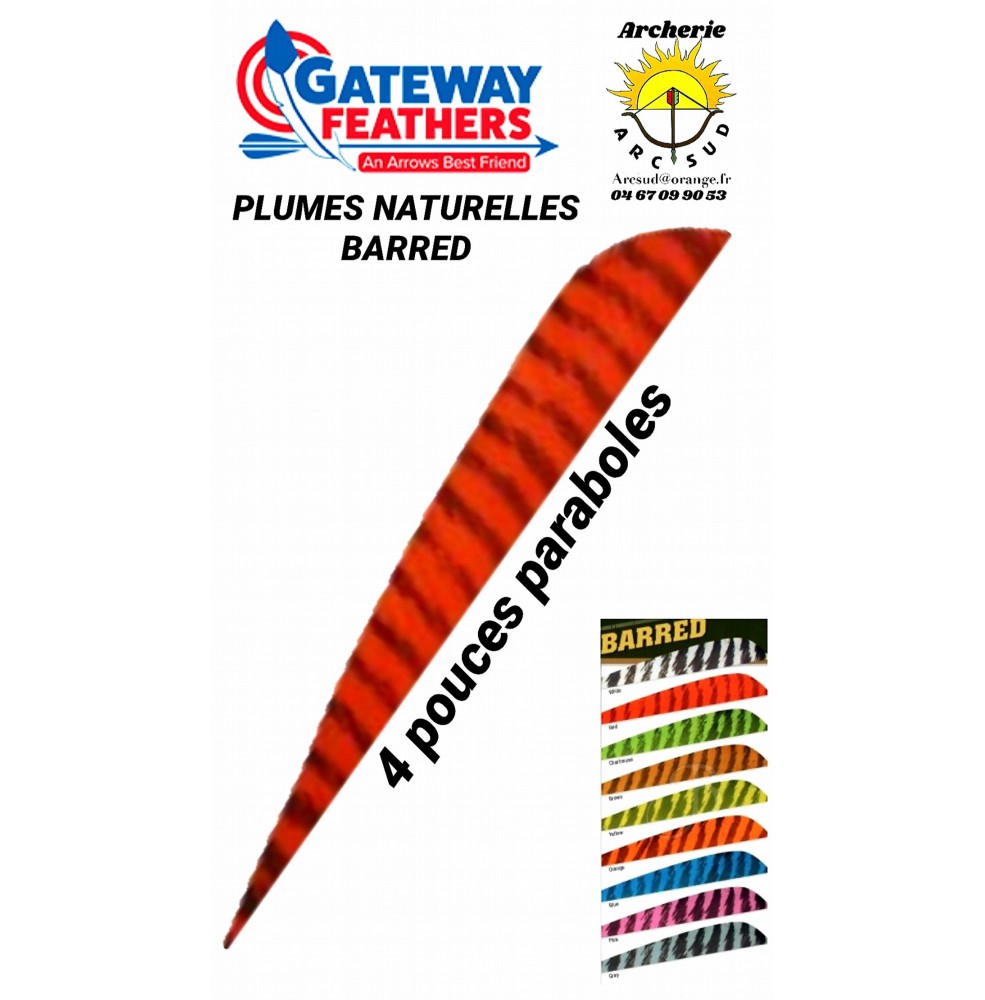 gateway plumes naturelles paraboles barred 4 pouces