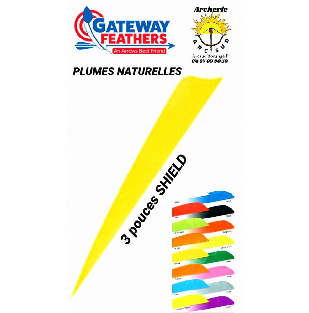 gateway plumes naturelles shield uni 3 pouces