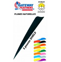 gateway plumes naturelles shield uni 5 pouces