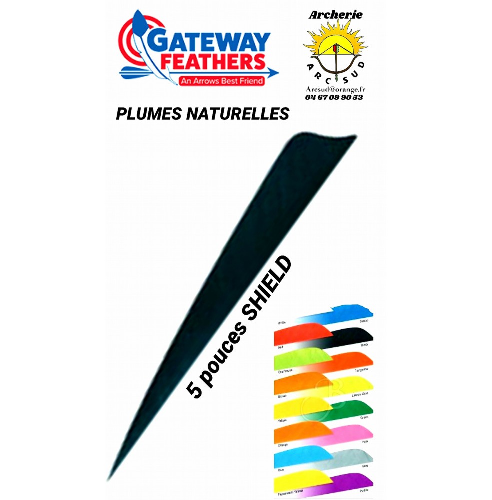 gateway plumes naturelles shield uni 5 pouces