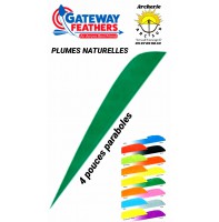 gateway plumes naturelles paraboles uni 4 pouces