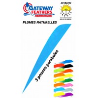 gateway plumes naturelles paraboles uni 3 pouces