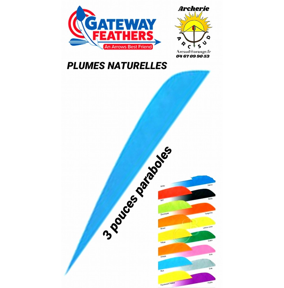 gateway plumes naturelles paraboles uni 3 pouces