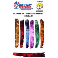 gateway plumes naturelles entiere camo