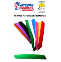 gateway plumes naturelles entiere uni