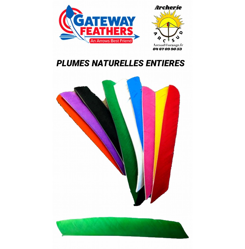 gateway plumes naturelles entiere uni