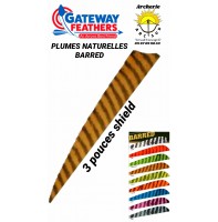 gateway plumes naturelles shield  barred 3 pouces (par 100)